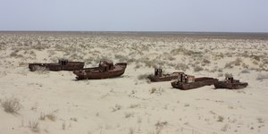 Cemitério de tubarões de 100 milhões de anos é achado em deserto