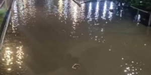 Fortes chuvas causam alagamentos e quedas de árvores no RJ