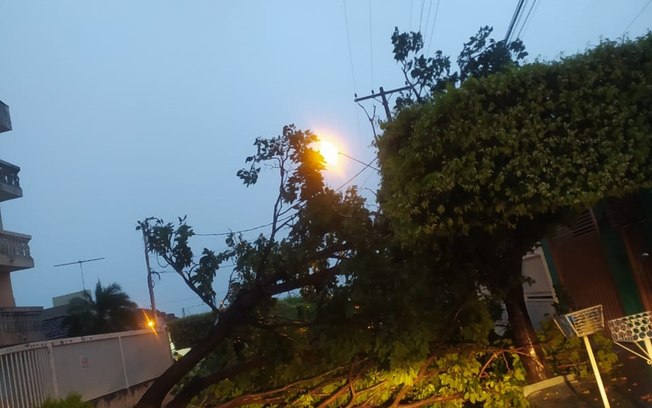 Tempestade provoca estragos e alagamentos em ruas e casas de Mirassol Tempestade provoca estragos e alagamentos em ruas e casas de Mirassol
