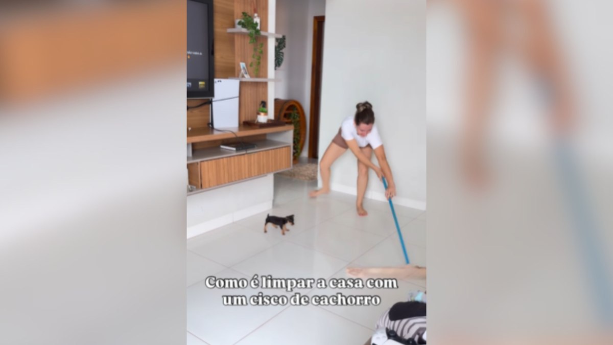 Cachorrinho rouba a cena ao 'ajudar' tutora na faxina de casa Cachorrinho rouba a cena ao 'ajudar' tutora na faxina de casa