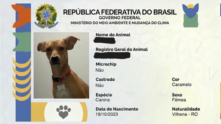 O RG Animal promete mais segurança e organização para tutores, ONGs, e os bichanos, claro. O RG Animal promete mais segurança e organização para tutores, ONGs, e os bichanos, claro.