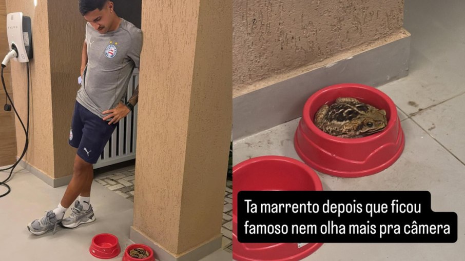 Rodrigo Nestor vive saga hilária com pequeno invasor em sua residência