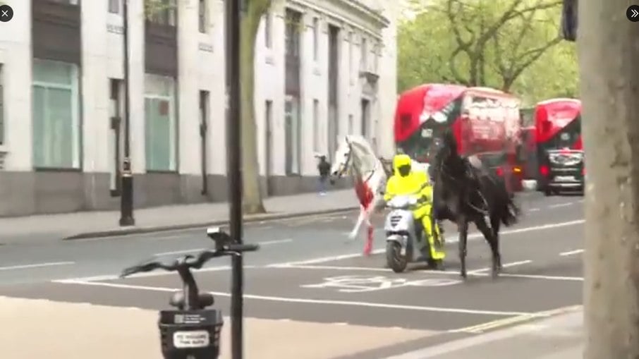 Cavalos da Cavalaria Doméstica de Londres derrubaram cavaleiros e fugiram