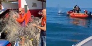 Mais de 18 mil animais foram salvos pelos bombeiros do RJ em 2026
