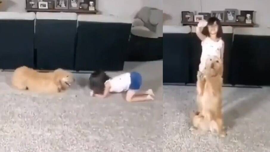 A garotinha faz uma performance perfeita com o cachorro 