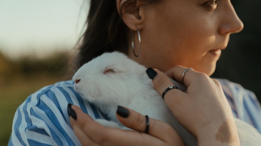 Coelhos são animais dóceis e sociáveis 