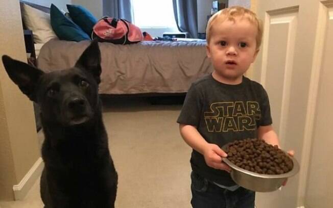 Fotos provam o quanto é bom adotar um cachorro para uma criança