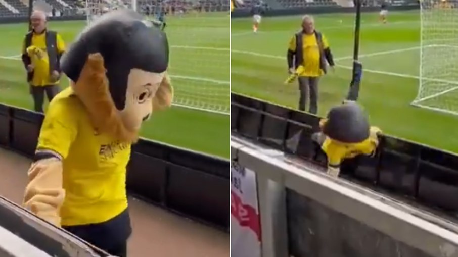 Mascote de time inglês é expulso de estádio por 