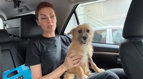 Conheça Joaquim, cão que salvou Ana Hickmann das mãos do marido