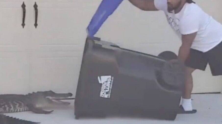 Morador usa lata de lixo para capturar jacaré que apareceu no jardim de casa