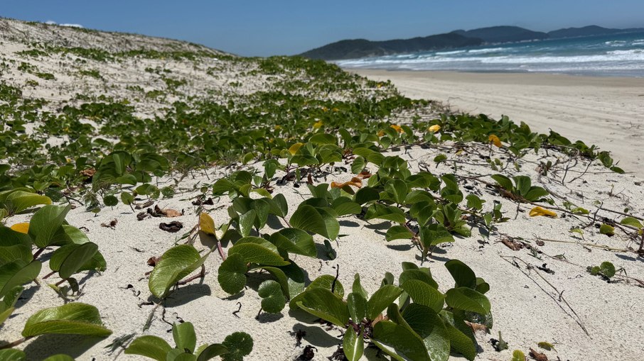 Praia do Pontal do Peró, em Cabo Frio (RJ