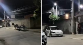 Gato dramático chama atenção na web; veja