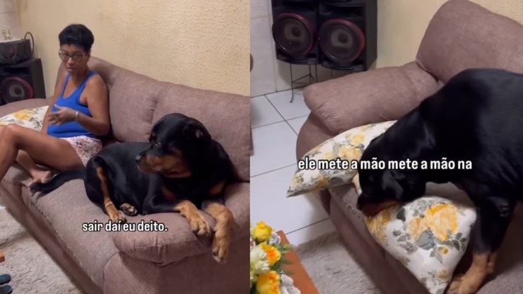 Rottweiler espaçoso toma conta do sofá da casa