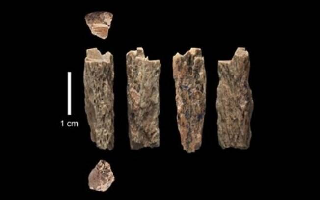 A descoberta foi feita após análises do fragmento de um osso, que eram da filha de um neandertal e um denisovano