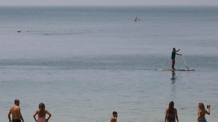 Bombeiros resgatam 70 praticantes de stand up paddle em praia do RJ