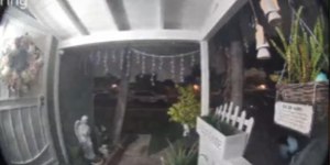 Mulher filma 'alienígena' na varanda; veja as imagens