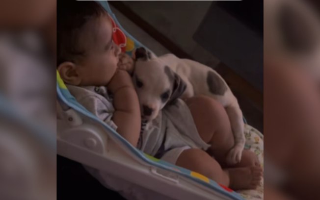 4h3s6yxs6ta95kpoqsdrbn5ia