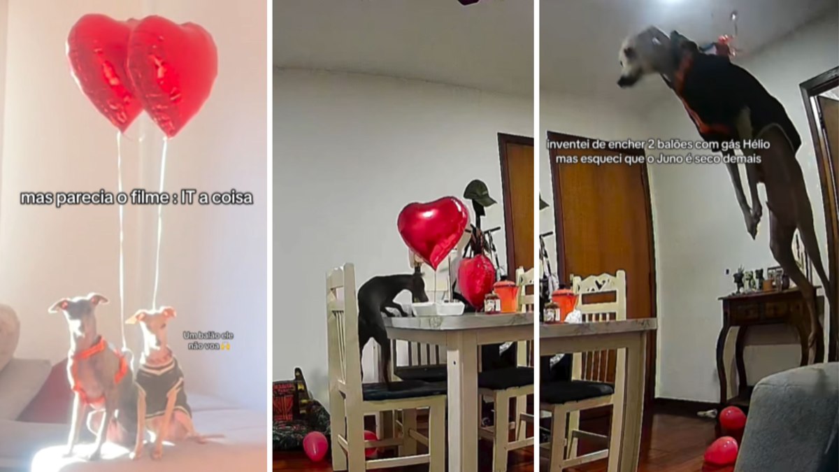 Surpresa romântica termina com 'cachorro voador' Surpresa romântica termina com 'cachorro voador'