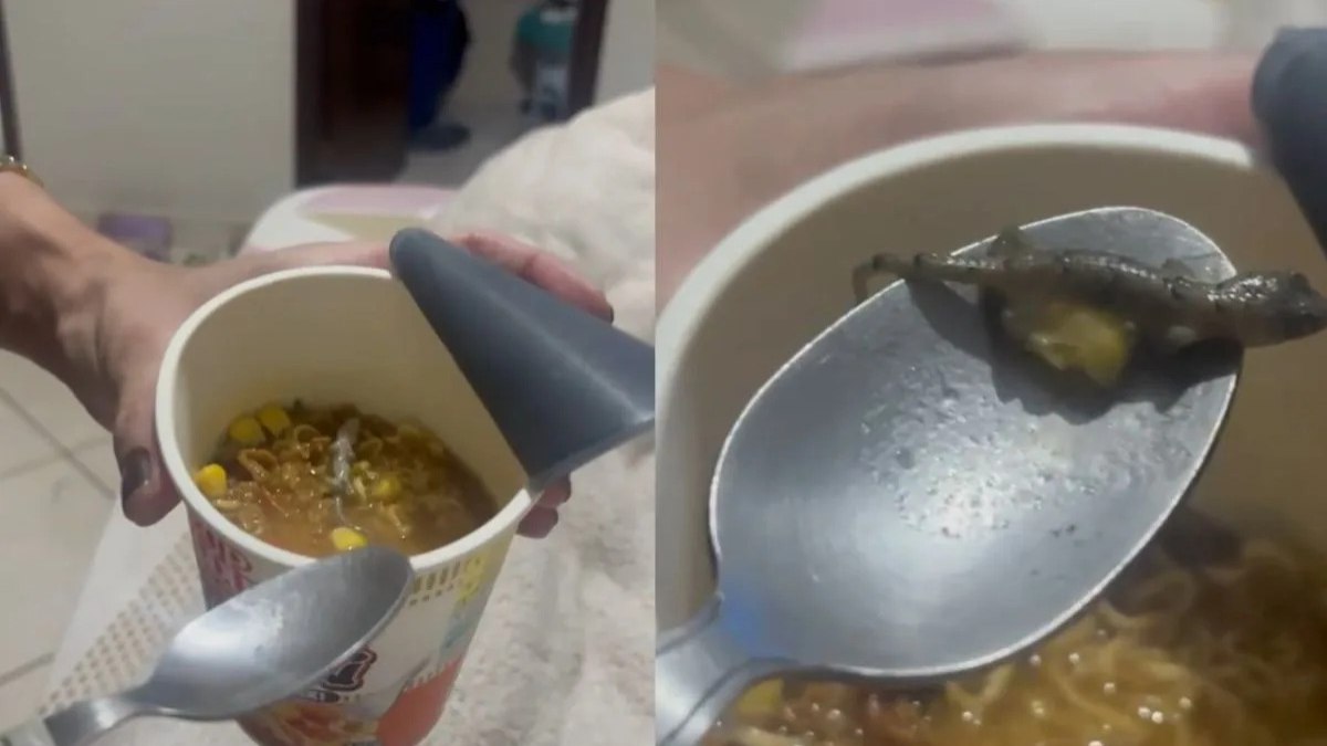 Mulher encontra lagartixa em macarrão e ganha R$ 3 mil Mulher encontra lagartixa em macarrão e ganha R$ 3 mil