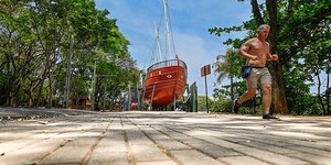 Campinas: Parques e bosques são reabertos após redução de chuvas