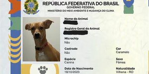 Veja passo a passo para emitir o RG Animal do seu pet de graça