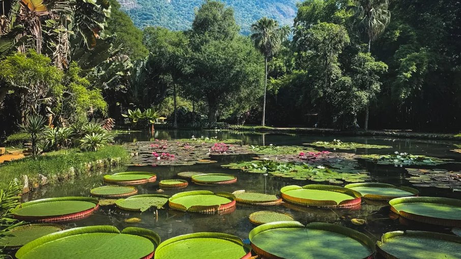 Jardim Botânico - Rio de Janeiro