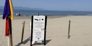 Homem morre após ataque de crocodilo em praia do México