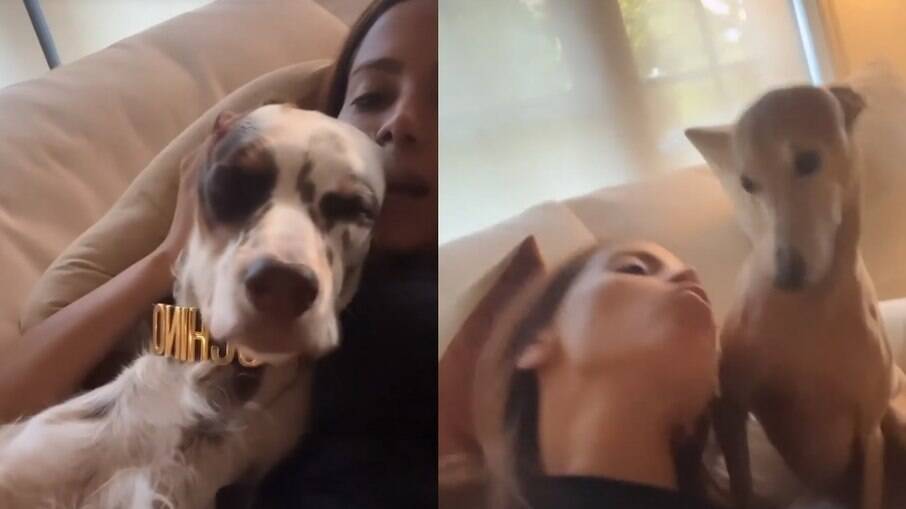 Anitta tira dia de descanso ao lado de cachorros de estimação