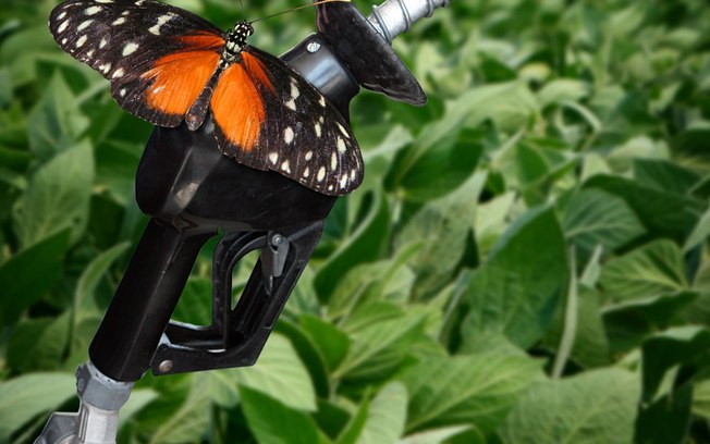 Cadeia de soja e biodiesel é destaque no PIB do agronegócio