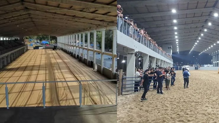 Bebê de 3 meses é pisoteado por boi em rodeio no Paraná