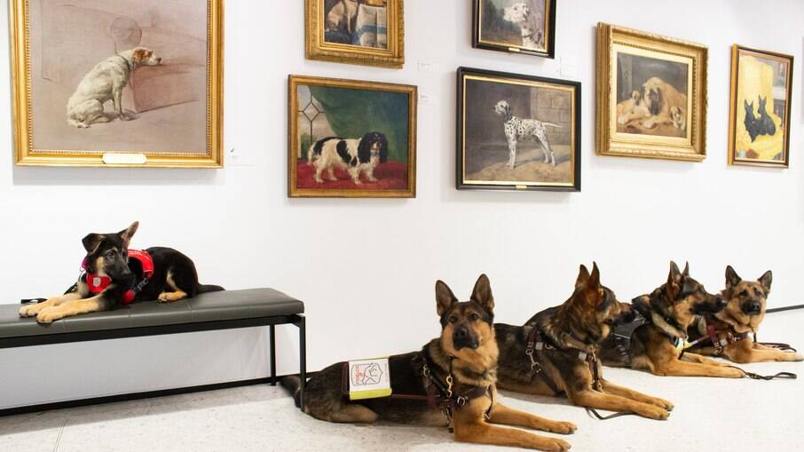 Museu do Cachorro em NY