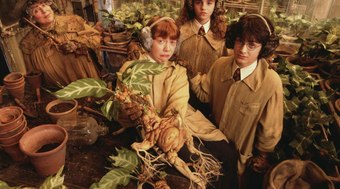 Revelados%20os%20atores%20que%20viver%C3%A3o%20Harry%20Potter%2C%20Rony%20e%20Hermione