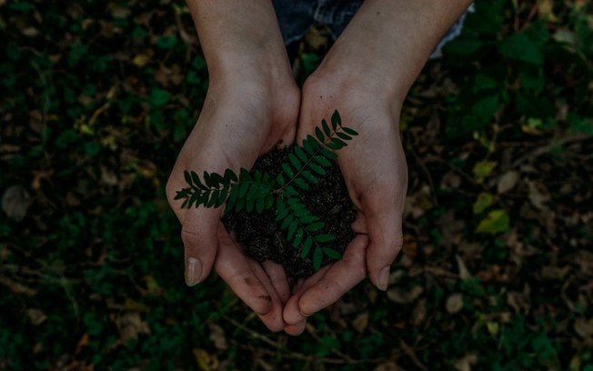 ESG é pauta da nova organização mundial de padrões de sustentabilidade