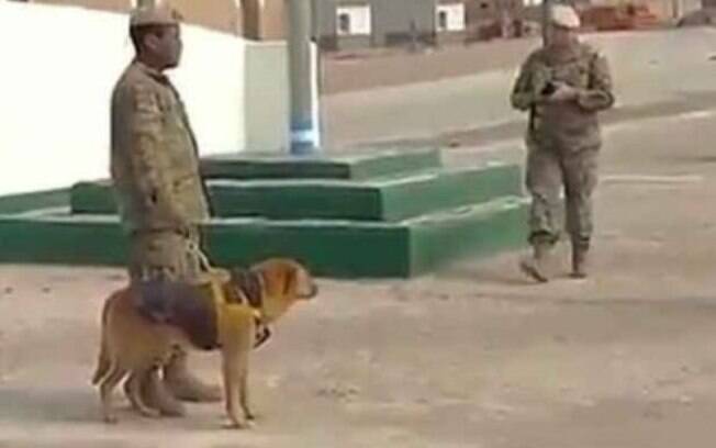 Cachorro policial passa a ser Sargento do Exército argentino