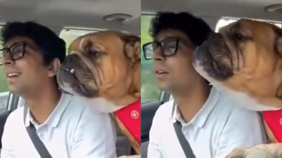 Homem e cachorro protagonizaram colaboração musical Homem e cachorro protagonizaram colaboração musical