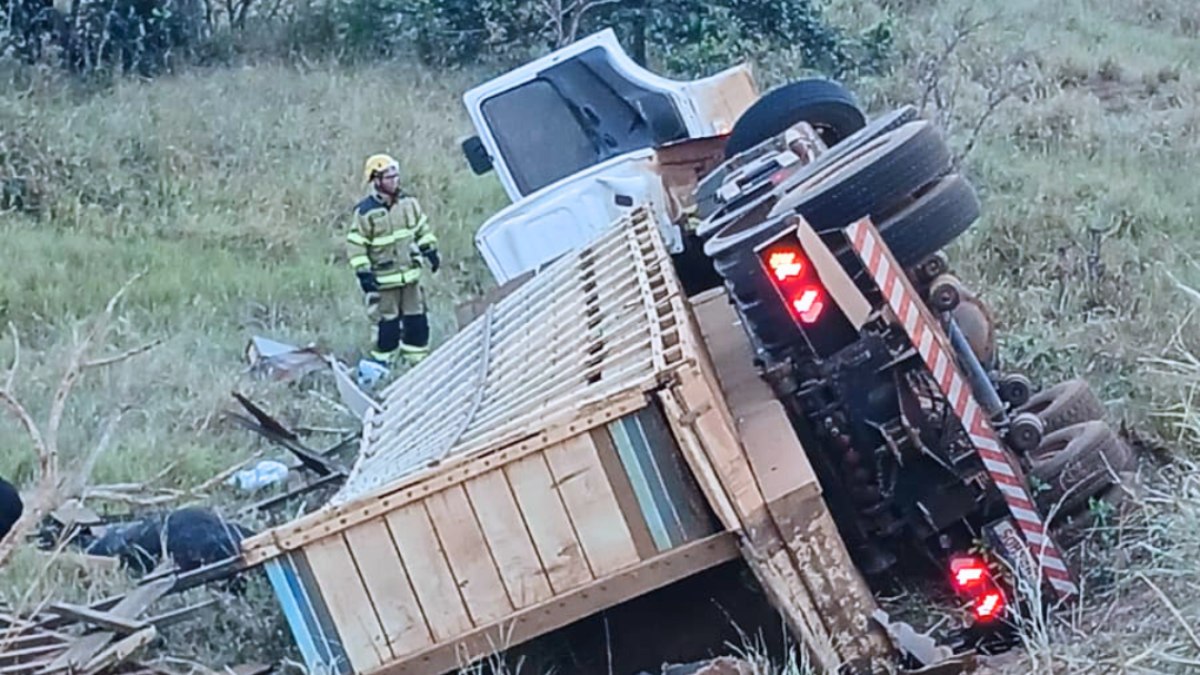 Caminhão com gado tomba e motorista morre na GO-050 - QTU Questões do Universo