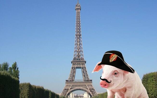 Na França, é proibido chamar um porco de Napoleão.