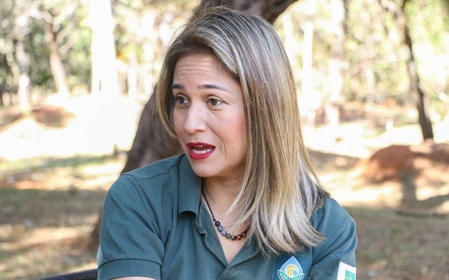 Pesquisadora do DF estuda uso de plantas do Cerrado no controle da diabetes tipo 2