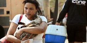 Campinas abre 600 vagas para castração e microchipagem de pets