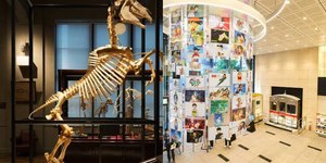 5 museus gratuitos para visitar em Tóquio