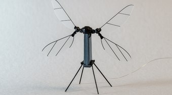 China%20cria%20drone%20militar%20min%C3%BAsculo%20com%20asas%20bi%C3%B4nicas%20como%20mosquito