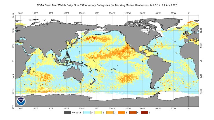 El Niño entra em alerta com onda de calor marinha inédita