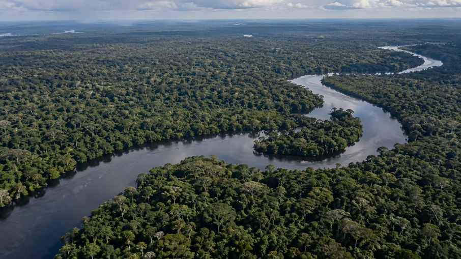 Bilionário sueco-britânico comprou a madeireira Gethal Amazonas por U$ 22 milhões, cerca de R$ 60 milhões à época Bilionário sueco-britânico comprou a madeireira Gethal Amazonas por U$ 22 milhões, cerca de R$ 60 milhões à época