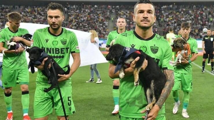 Gato preto invade jogo de futebol e leva torcedores ao delírio