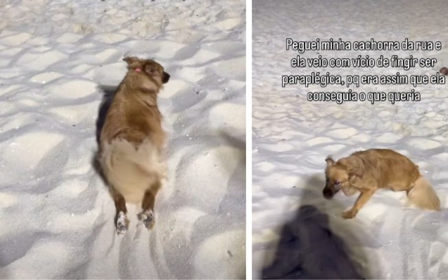 4ntamav4n6ptdyrierbk7kkzw