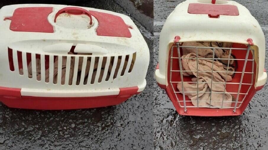 A caixa de transporte foi deixada com o gato na rua, sem água e sem comida