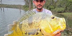 Pescador fisga tucunaré amarelo gigante e bate recorde no MT