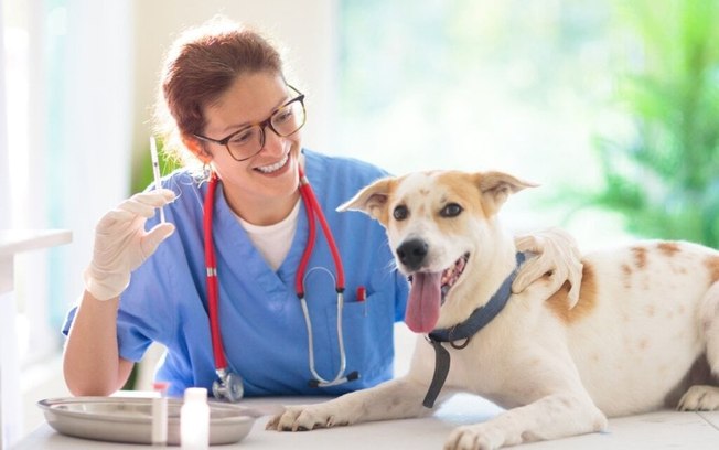 Veja os sintomas da raiva em animais de estimação