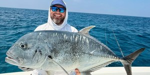 Xaréu gigante: o peixe que desafia tubarões no mar