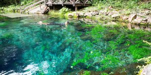 Bonito (MS) une rios transparentes e turismo de natureza